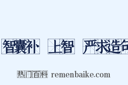 智囊补·上智·严求造句是什么意思的图片